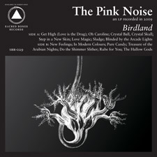 The Pink Noise: Birdland