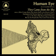 Human Eye: They Came from the Sky